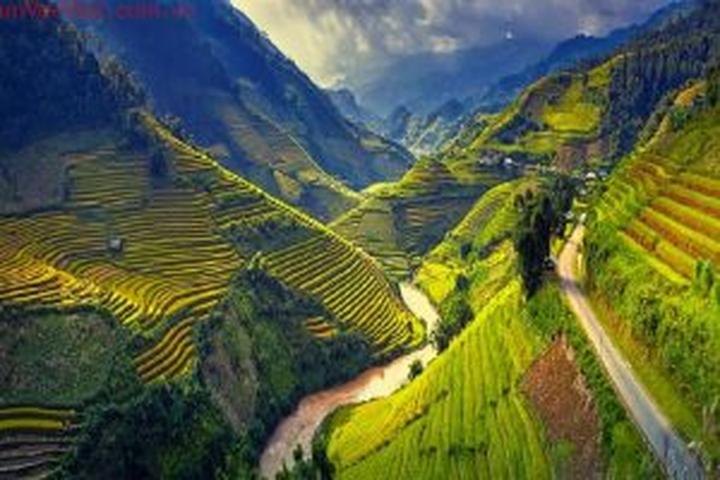 Hotspot Matrix: Biến Sao nam Thiên Long Bát Bộ tụt thành cơ hội marketing đột phá