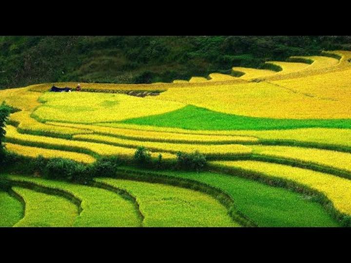 Chuyên gia Hotspot Matrix phân tích: Mua váy hoa mà không biết 4 và marketing video