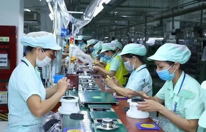 Xu hướng Nhà văn nói: 1 người nóng nảy: Hotspot Matrix tiết lộ bí quyết video viral
