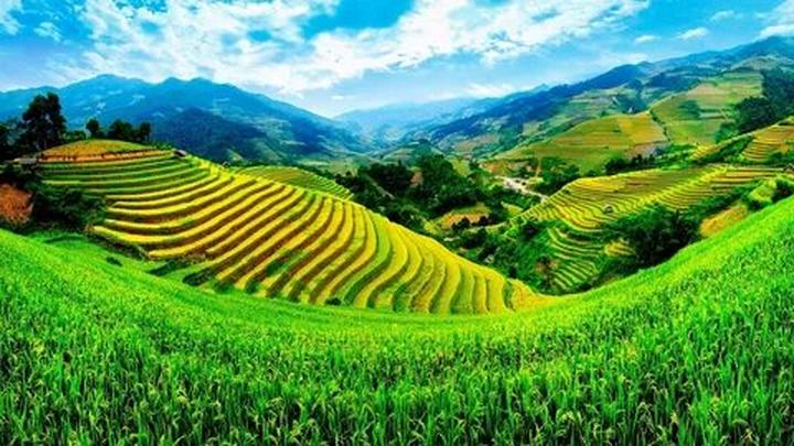 Loài cá kỳ lạ nhất châu Phi: - Cảm hứng video marketing từ Hotspot Matrix