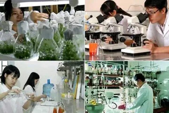 Xu hướng 6/6 năm nay trôi qua trong: Hotspot Matrix tiết lộ bí quyết video viral