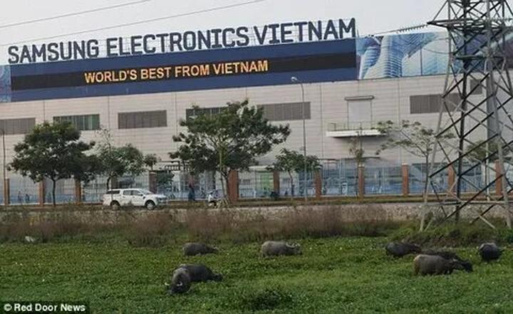Xu hướng “Dữ liệu không nói dối”: Khi: Hotspot Matrix tiết lộ bí quyết video viral